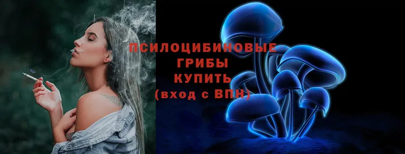 купить закладку  Гусь-Хрустальный  Галлюциногенные грибы Psilocybine cubensis 